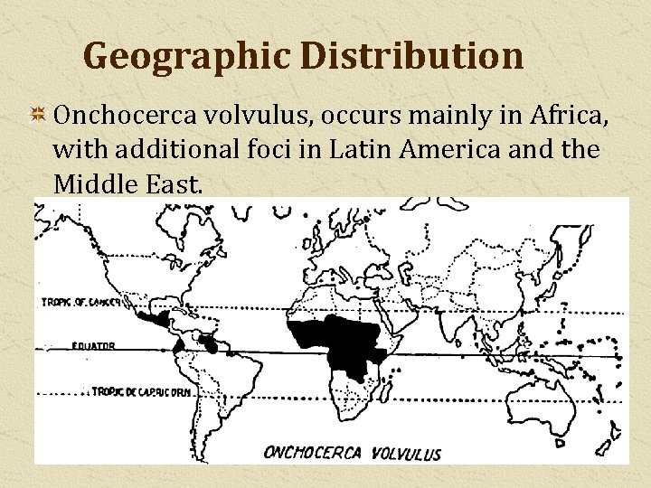 Geographic Distribution Onchocerca volvulus, occurs mainly in Africa, with additional foci in Latin America