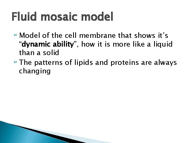 Fluid mosaic model Model of the cell membrane that shows it’s “dynamic ability”, how