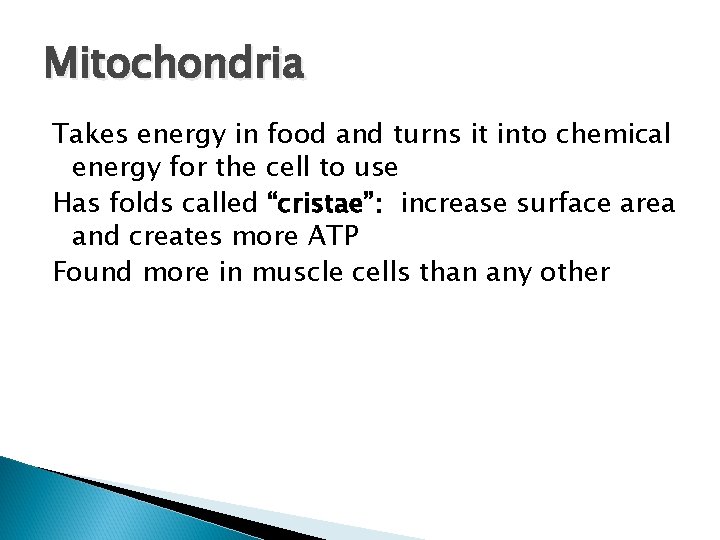 Mitochondria Takes energy in food and turns it into chemical energy for the cell