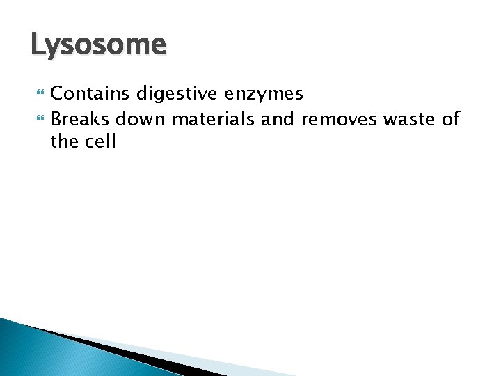 Lysosome Contains digestive enzymes Breaks down materials and removes waste of the cell 