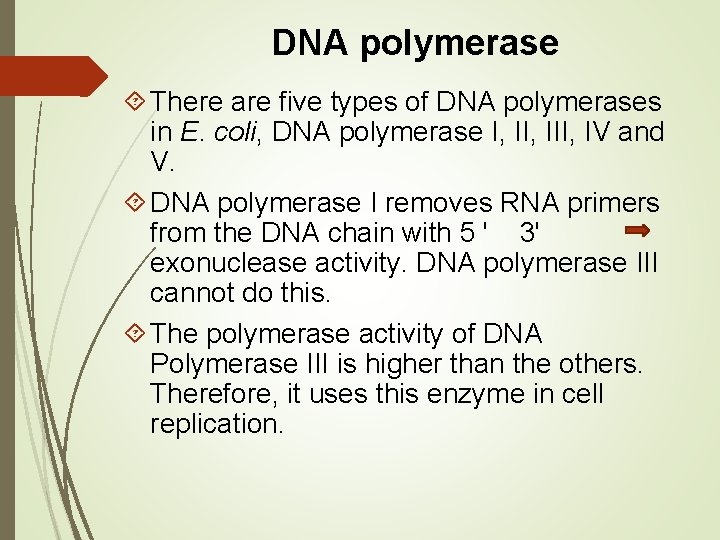 DNA polymerase There are five types of DNA polymerases in E. coli, DNA polymerase