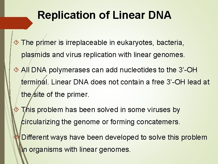 Replication of Linear DNA The primer is irreplaceable in eukaryotes, bacteria, plasmids and virus