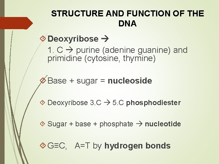 STRUCTURE AND FUNCTION OF THE DNA Deoxyribose 1. C purine (adenine guanine) and primidine