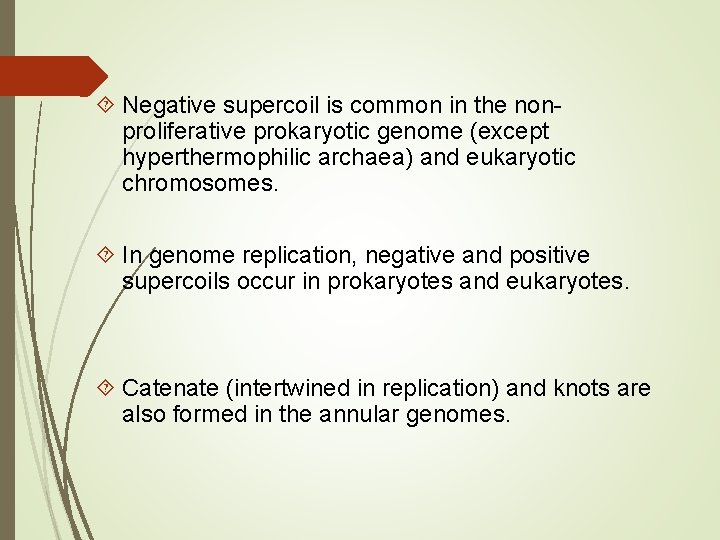  Negative supercoil is common in the nonproliferative prokaryotic genome (except hyperthermophilic archaea) and