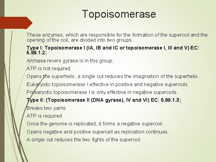 Topoisomerase These enzymes, which are responsible for the formation of the supercoil and the