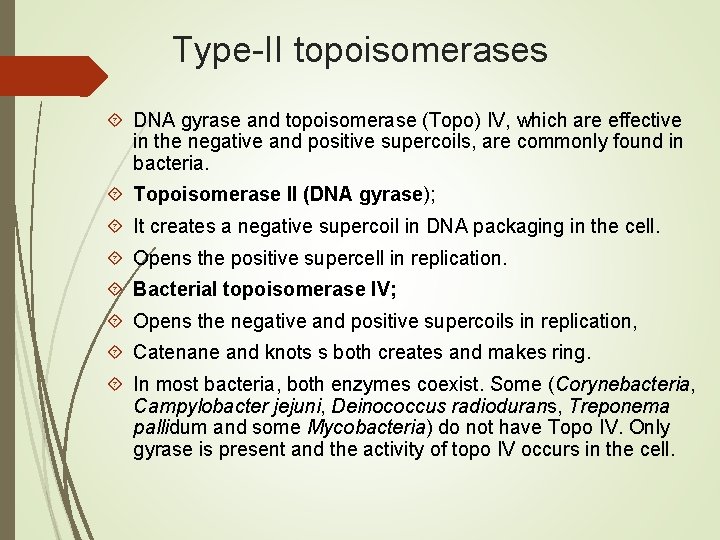 Type-II topoisomerases DNA gyrase and topoisomerase (Topo) IV, which are effective in the negative