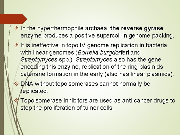  In the hyperthermophile archaea, the reverse gyrase enzyme produces a positive supercoil in