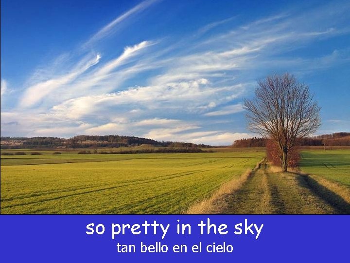 so pretty in the sky tan bello en el cielo so pretty in the sky tan bello en el cielo