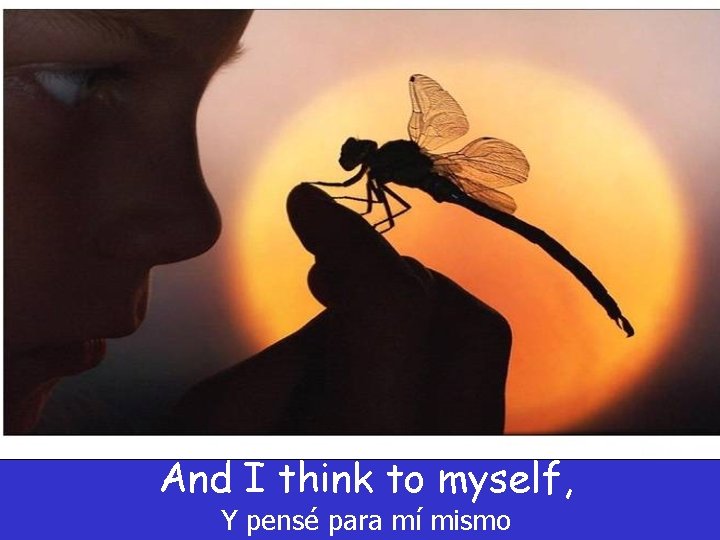 And I think to myself, Y pensé para mí mismo And I think to myself, Y pensé para mí mismo