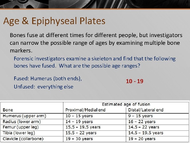 Age & Epiphyseal Plates Bones fuse at different times for different people, but investigators