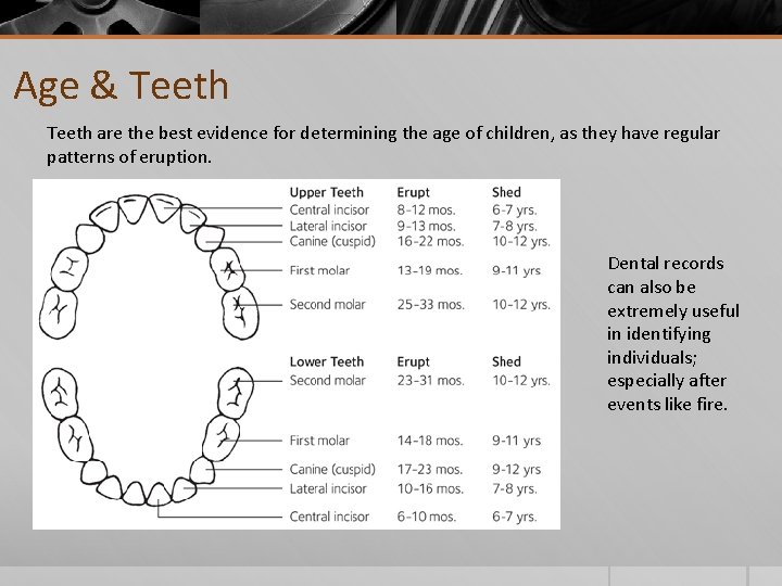 Age & Teeth are the best evidence for determining the age of children, as