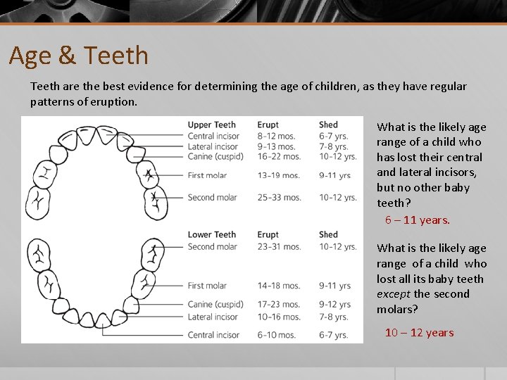 Age & Teeth are the best evidence for determining the age of children, as