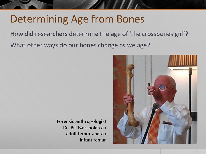 Determining Age from Bones How did researchers determine the age of ‘the crossbones girl’?