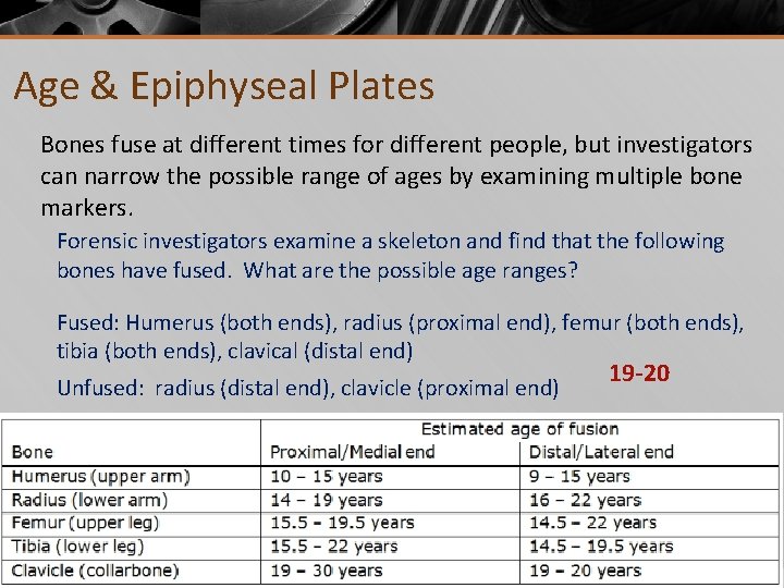 Age & Epiphyseal Plates Bones fuse at different times for different people, but investigators