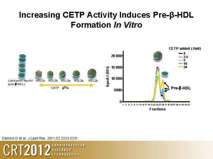 Increasing CETP Activity Induces Pre-β-HDL Formation In Vitro CETP added (-fold) 0 2. 5