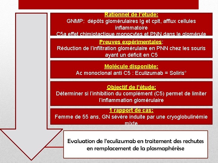 Rationnel de l’étude: GNMP: dépôts glomérulaires Ig et cplt, afflux cellules inflammatoire C 5