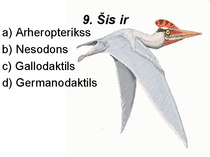 9. Šis ir a) Arheropterikss b) Nesodons c) Gallodaktils d) Germanodaktils 