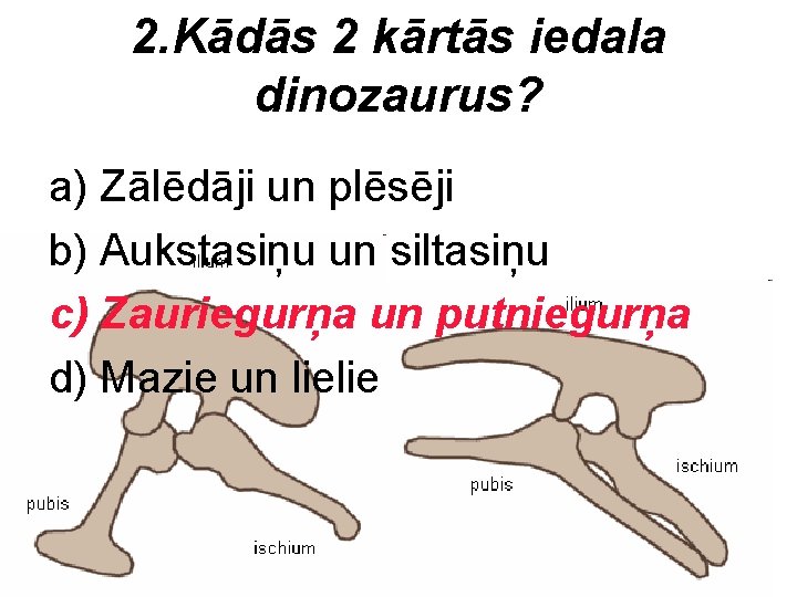 2. Kādās 2 kārtās iedala dinozaurus? a) Zālēdāji un plēsēji b) Aukstasiņu un siltasiņu