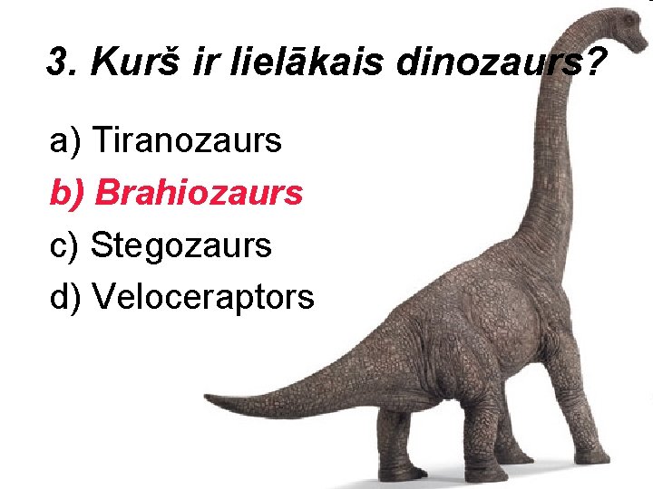 3. Kurš ir lielākais dinozaurs? a) Tiranozaurs b) Brahiozaurs c) Stegozaurs d) Veloceraptors 
