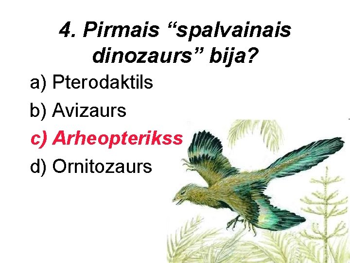 4. Pirmais “spalvainais dinozaurs” bija? a) Pterodaktils b) Avizaurs c) Arheopterikss d) Ornitozaurs 