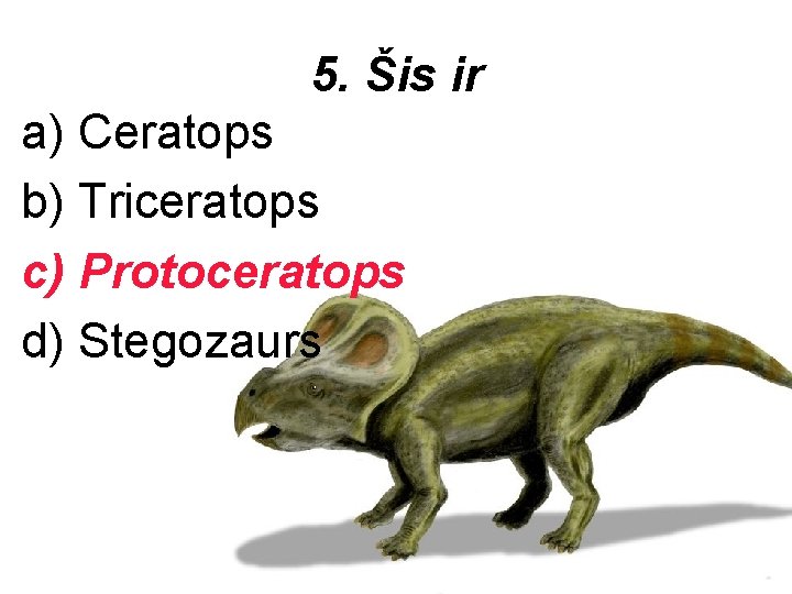 5. Šis ir a) Ceratops b) Triceratops c) Protoceratops d) Stegozaurs 