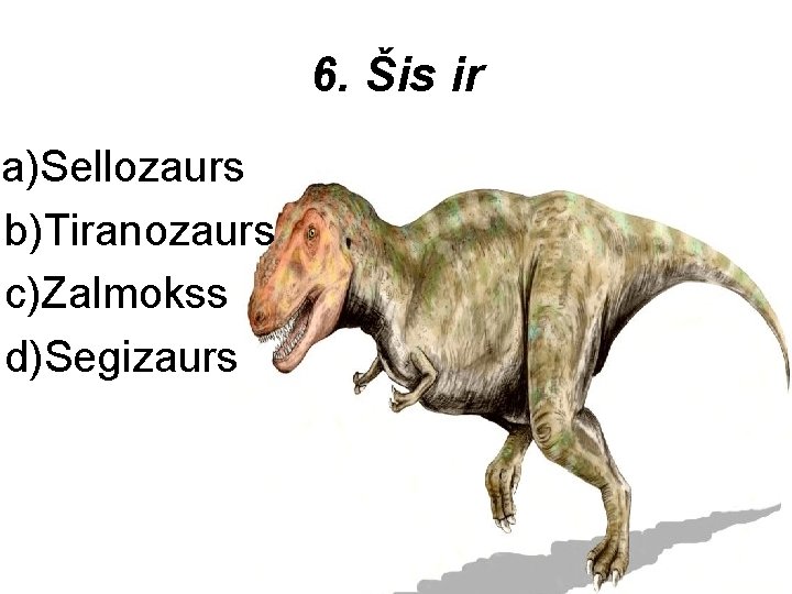 6. Šis ir a)Sellozaurs b)Tiranozaurs c)Zalmokss d)Segizaurs 