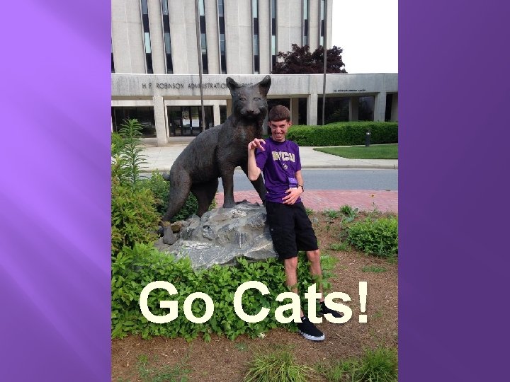 Go Cats! 