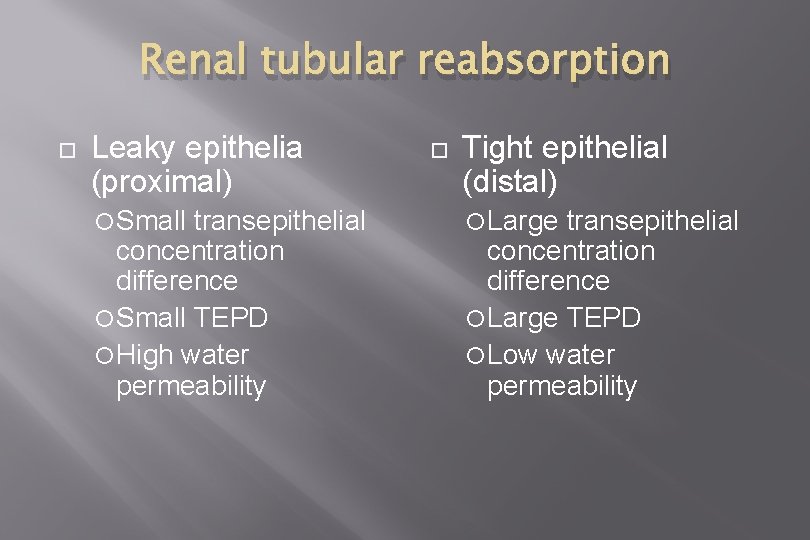 Renal tubular reabsorption Leaky epithelia (proximal) Small transepithelial concentration difference Small TEPD High water