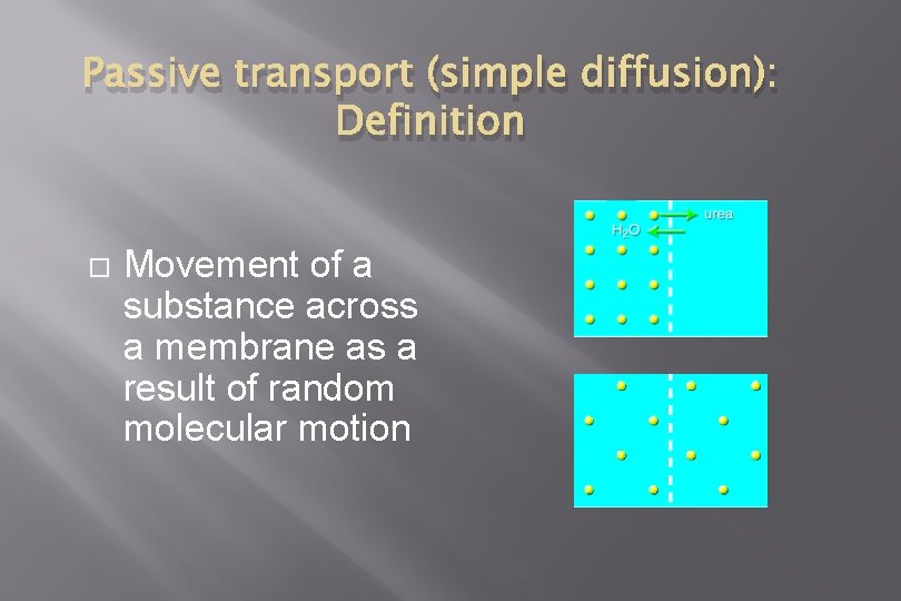 Passive transport (simple diffusion): Definition Movement of a substance across a membrane as a