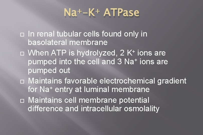 Na+-K+ ATPase In renal tubular cells found only in basolateral membrane When ATP is