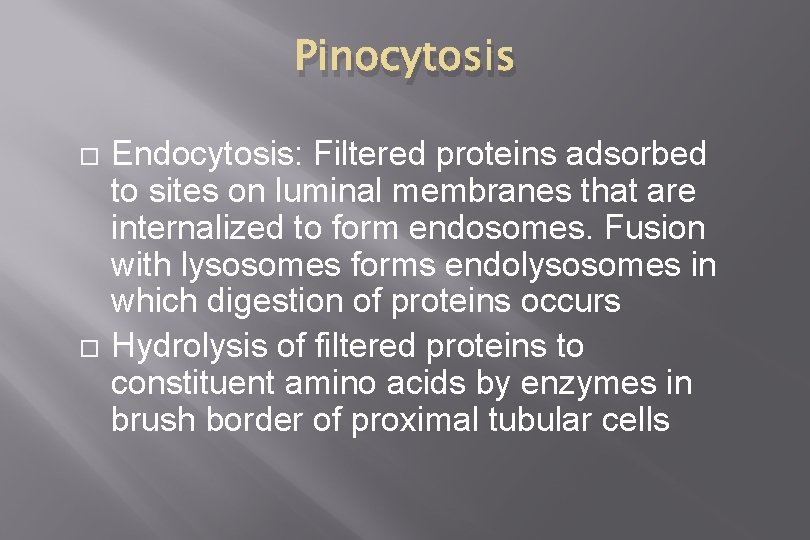 Pinocytosis Endocytosis: Filtered proteins adsorbed to sites on luminal membranes that are internalized to