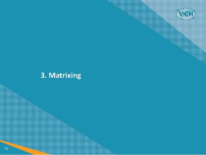 3. Matrixing 11 3. Matrixing 11