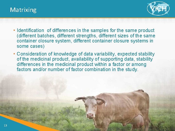 Matrixing • Identification of differences in the samples for the same product (different batches, Matrixing • Identification of differences in the samples for the same product (different batches,