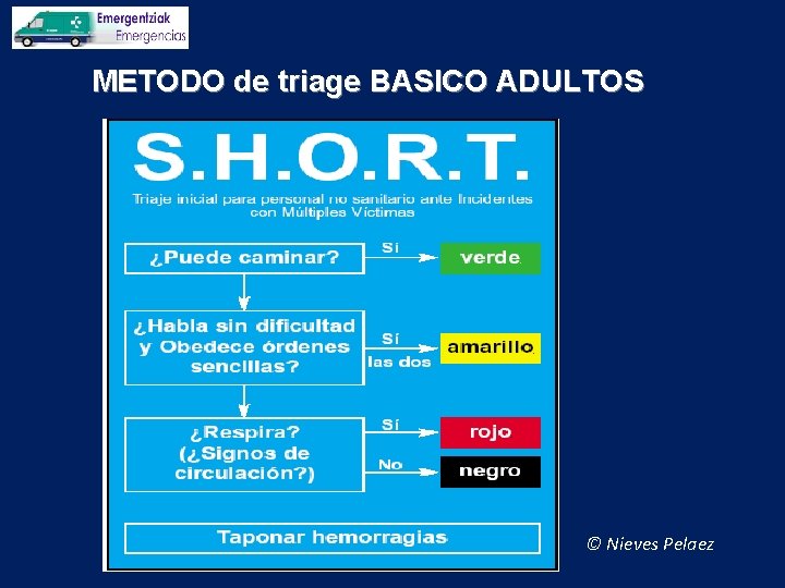 METODO de triage BASICO ADULTOS © Nieves Pelaez 