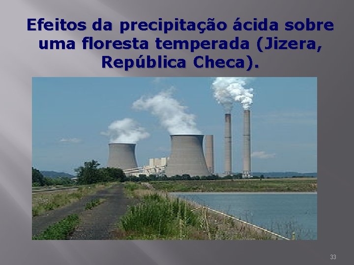 Efeitos da precipitação ácida sobre uma floresta temperada (Jizera, República Checa). 33 