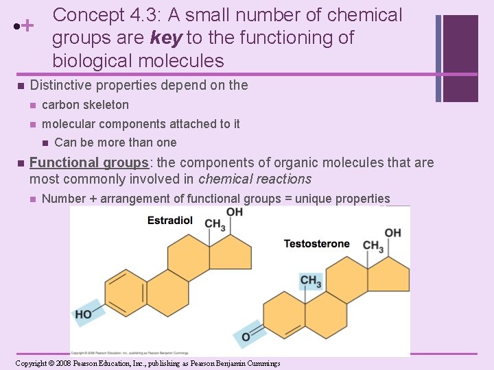 Concept 4. 3: A small number of chemical groups are key to the functioning