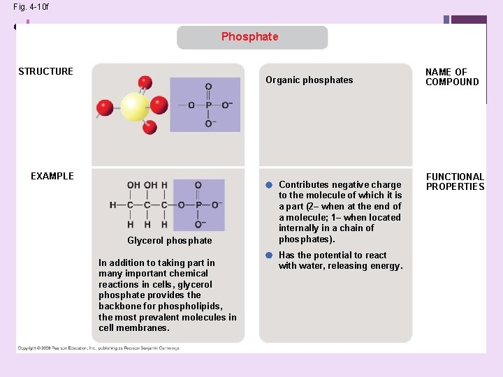 Fig. 4 -10 f • + Phosphate STRUCTURE Organic phosphates EXAMPLE Glycerol phosphate In