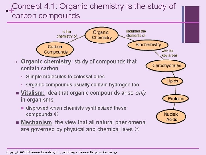 Concept 4. 1: Organic chemistry is the study of • +carbon compounds • n