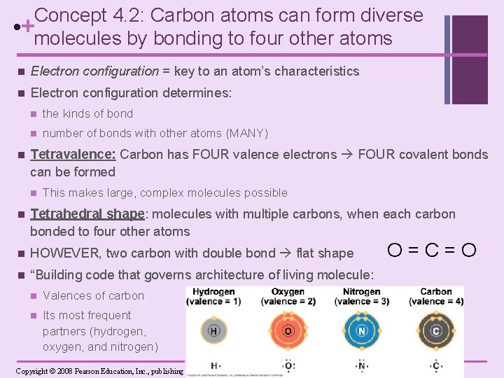 Concept 4. 2: Carbon atoms can form diverse • +molecules by bonding to four