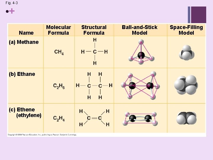 Fig. 4 -3 • + Name (a) Methane (b) Ethane (c) Ethene (ethylene) Molecular