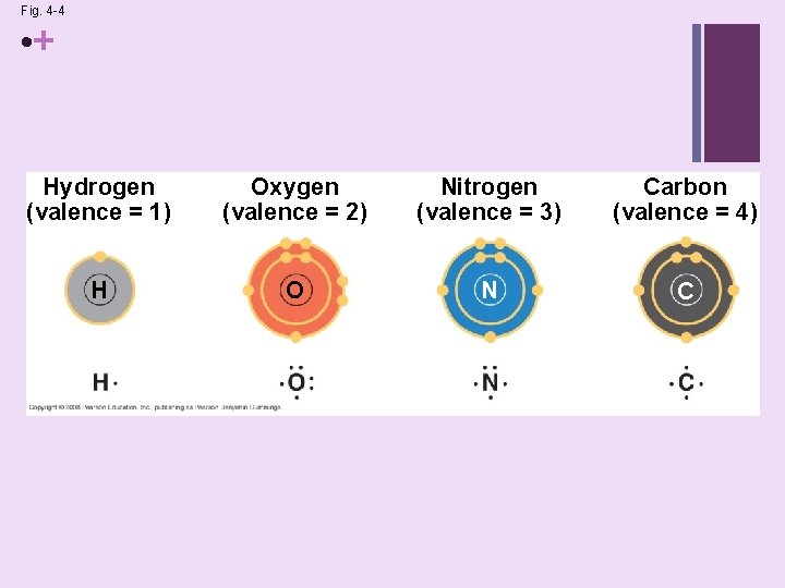 Fig. 4 -4 • + Hydrogen (valence = 1) Oxygen (valence = 2) Nitrogen