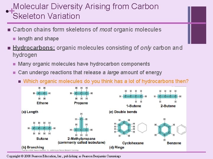 Molecular Diversity Arising from Carbon • +Skeleton Variation n Carbon chains form skeletons of