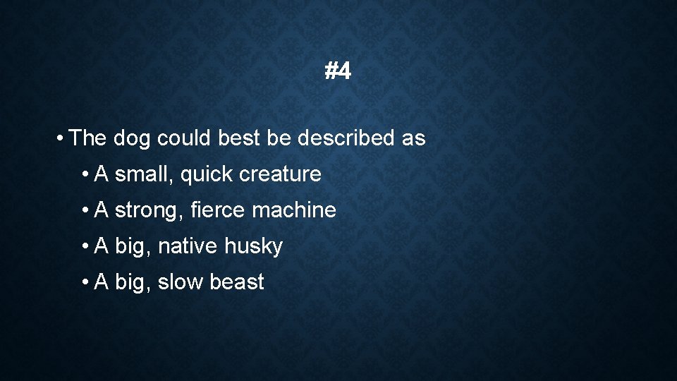 #4 • The dog could best be described as • A small, quick creature