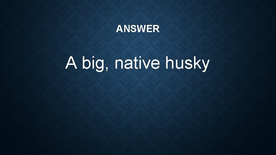 ANSWER A big, native husky 