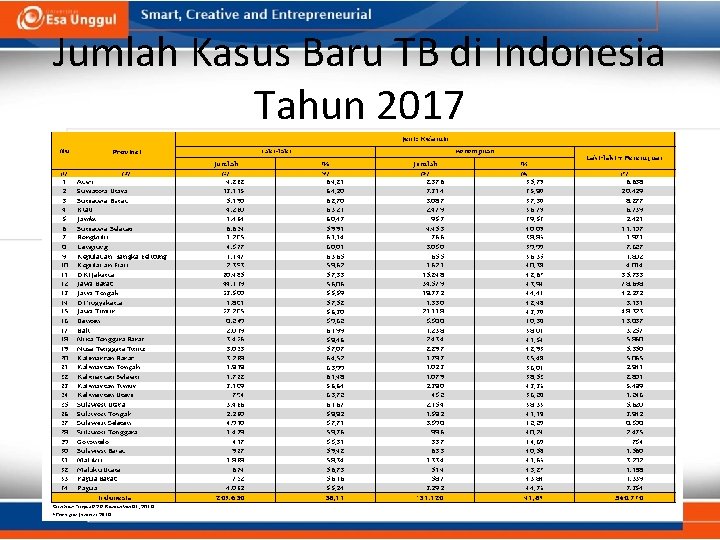 Jumlah Kasus Baru TB di Indonesia Tahun 2017 