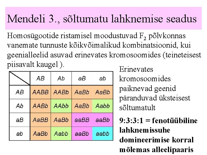 Mendeli 3. , sõltumatu lahknemise seadus Homosügootide ristamisel moodustuvad F 2 põlvkonnas vanemate tunnuste