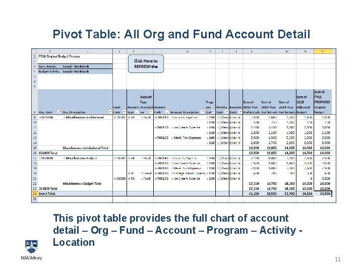 Pivot Table: All Org and Fund Account Detail This pivot table provides the full