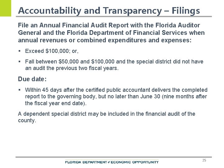 Accountability and Transparency – Filings File an Annual Financial Audit Report with the Florida