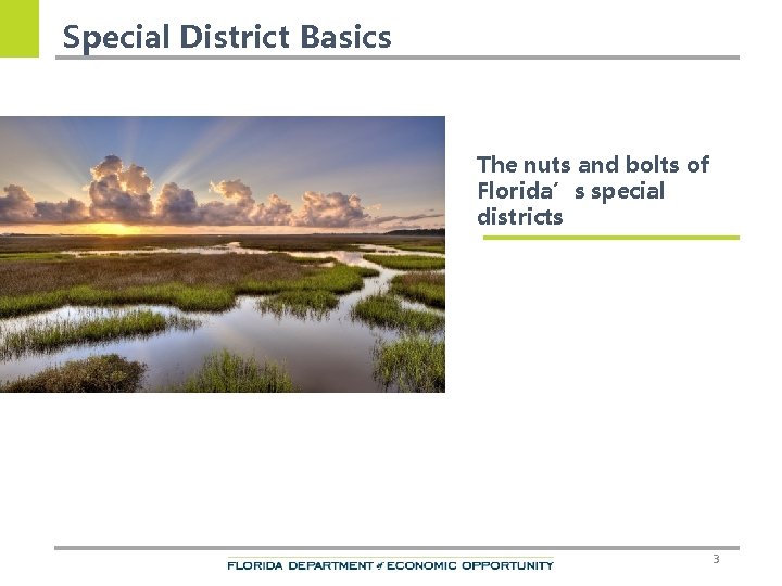 Special District Basics The nuts and bolts of Florida’s special districts 3 