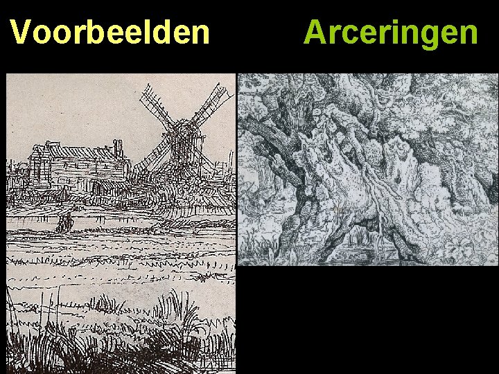 Voorbeelden Arceringen 